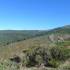 La Dehesa Bonita - Abedular de Somosierra; quedada singles madrid actividades sierra de gredos sende